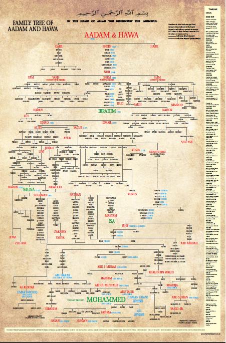 Family Tree of Aadam and Hawa