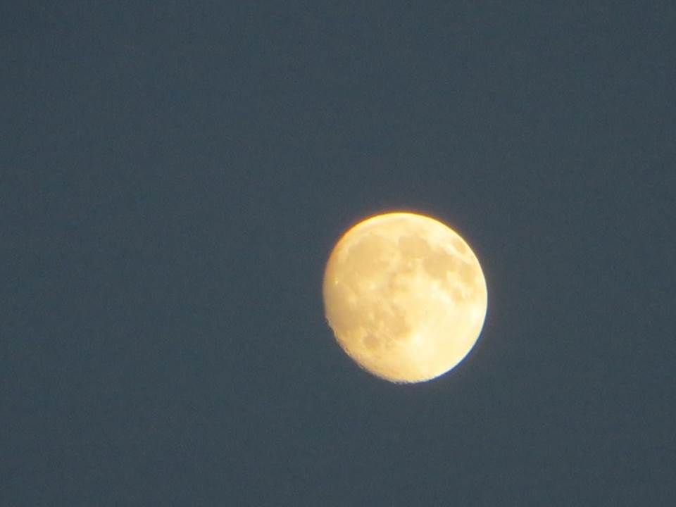 moon UK